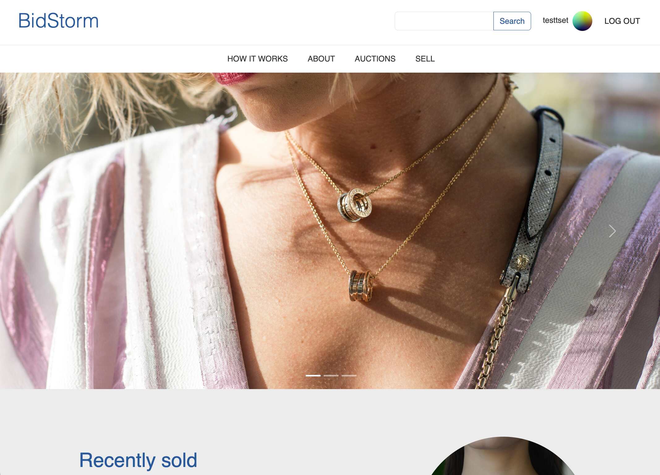 screenshot of my website BidStorm